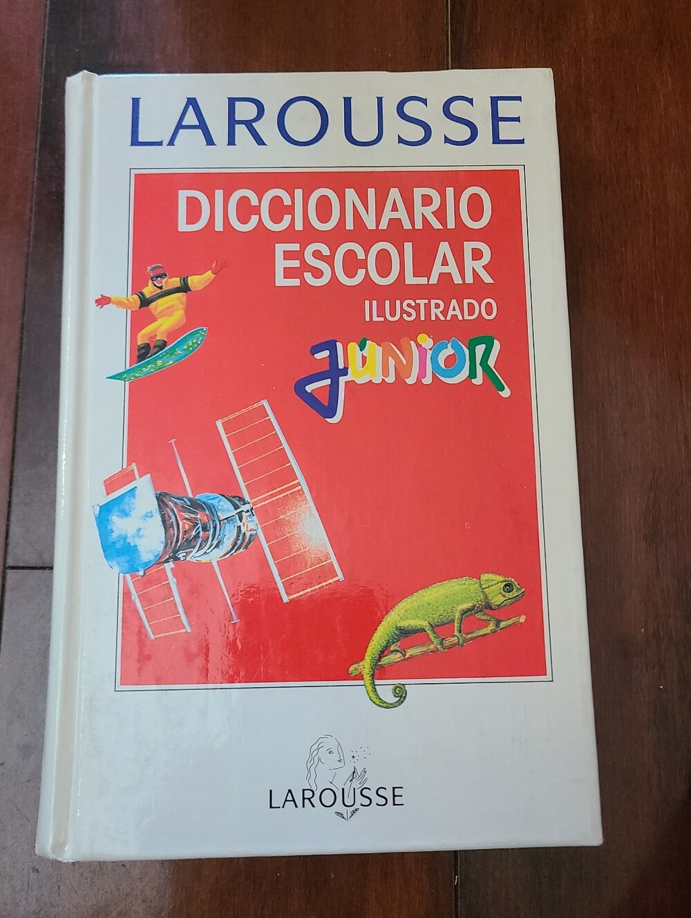 LAROUSSE DICCIONARIO ESCOLAR ILUSTRADO Junior Spanish Dictionary Illustrated
